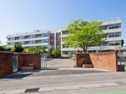 川口市立神根中学校