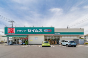 ドラッグセイムス木崎店