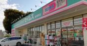 ドラッグセイムス浦和岸町店