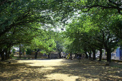 大谷場公園