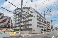 JR京浜東北線「浦和駅」徒歩８分の好立地！南向き・専用庭付きで日当たり良好♪