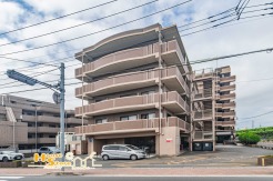 新規リフォーム済みの快適な住まい！南東角部屋につき日当たり・通風良好です。マンションには越谷湯元温泉を浴室で利用できるサービス有（１住戸１日180ℓ）。落ち着く我が家で、旅行気分を味わえます。