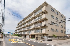 新耐震基準マンション・開放的な南西向き角部屋で陽当り良好のお部屋です♪新規リフォーム済み！ご家族も喜ぶ大切なペットと一緒に住めるマンションです♪