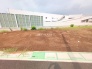 1号地  2025/08/07m