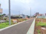 5号地  2025/08/07m